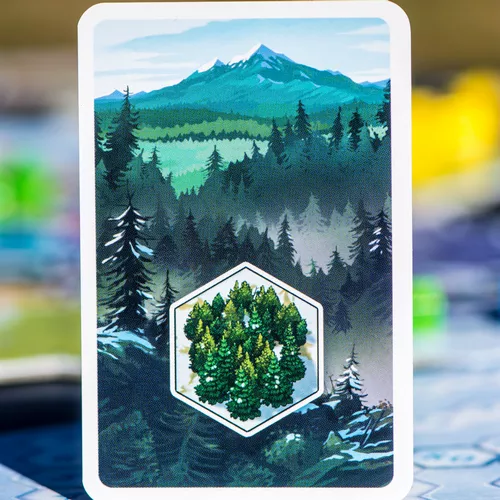 Test du jeu Winter Kingdom carte terrain 1